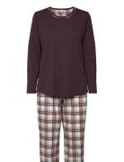 Cotton Flannel Pyjamas Burgundy Lady Avenue