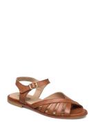 Sandals - Flat - Open Toe - Op Brown ANGULUS