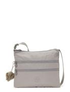 Alvar Grey Kipling