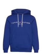 Tommy Logo Hoody Blue Tommy Hilfiger