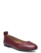 Dasy_Ballerina_Na Burgundy BOSS