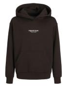 Jorvesterbro Sweat Hood Noos Jnr Brown Jack & J S