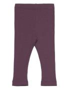 Leggings Rib Purple Minymo