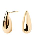 Large Sugar Earrings Gold PD Paola