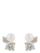 Mayfair Small Irregular Pearl Ear G/White - Gold SNÖ Of Sweden