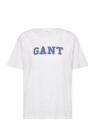 Graphic Ss T-Shirt Grey GANT