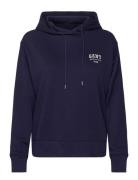 Small Graphic Hoodie Navy GANT