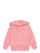 Classic Hoodie Pink Gugguu