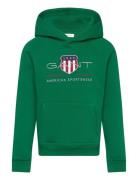 Archive Shield Raglan Hoodie Green GANT