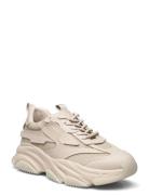 Possess Sneaker Beige Steve Madden