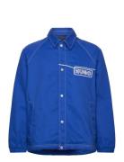 Bujo2511 Blue HUGO BLUE