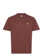 Mapleton Ss Tee Brown Dickies