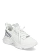 Maxilla-R-E White Steve Madden