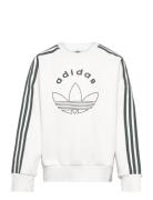 Crew White Adidas Originals