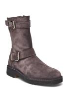 Trotter Grey Billi Bi