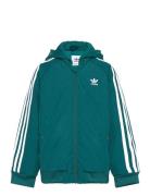 Bomber Jacket Green Adidas Originals