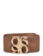 D6 Motif Logo Tape Belt Gold Beige Dante6