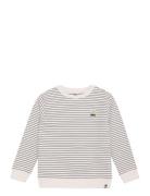 Sweater Stripe Beige Daily 7