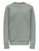 Osjceres Crew Neck Swt Noos Grey ONLY & SONS