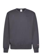 Crewneck Sweatshirt Grey Champion