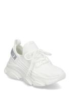 Jprotégé Sneaker White Steve Madden