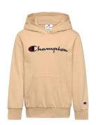 Hooded Sweatshirt Beige Champion