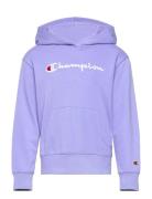 Hooded Sweatshirt Purple Champion