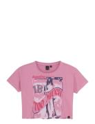 T-Shirt Wide Cropped Pink Indian Blue Jeans