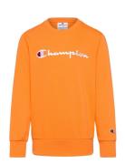 Crewneck Sweatshirt Orange Champion