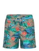 Tnd Calvi Blue TUMBLE 'N DRY