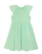Dress Rib Green Creamie