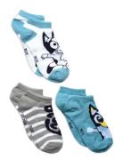 Socks Patterned Bluey