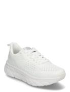 Hakkas White Leaf
