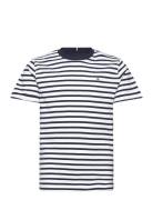 Essential Cotton Reg Fit Tee Ss Navy Tommy Hilfiger