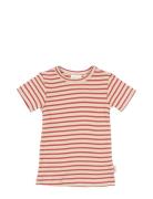 T-Shirt S/S Modal Striped Red Petit Piao