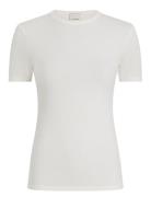 Modal Rib Slim Ss Top Cream Calvin Klein