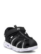 Skultorp Black Leaf