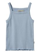 Top Olise Blue Wheat