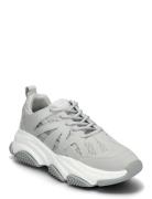 Peckman Sneaker Grey Steve Madden