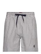 Mcs Swimshorts Irving Men Black MCS