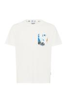 Bhjem Tee White Blend