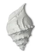 Wall And Table Lamp Kay White Byon