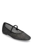 Majorca Ballerina Black Steve Madden
