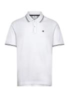 Polo White Champion