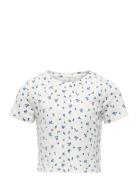 Kogbella Life Short Aop S/S Top Jrs Noos White Kids Only