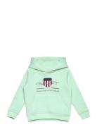 Archive Shield Raglan Hoodie Green GANT