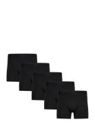 Claudio 5-Pack Tights Black Claudio