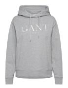 Tonal Graphic Hoodie Grey GANT