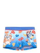 Swimsuit Blue Bluey