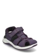 X-Trinsic K Purple ECCO